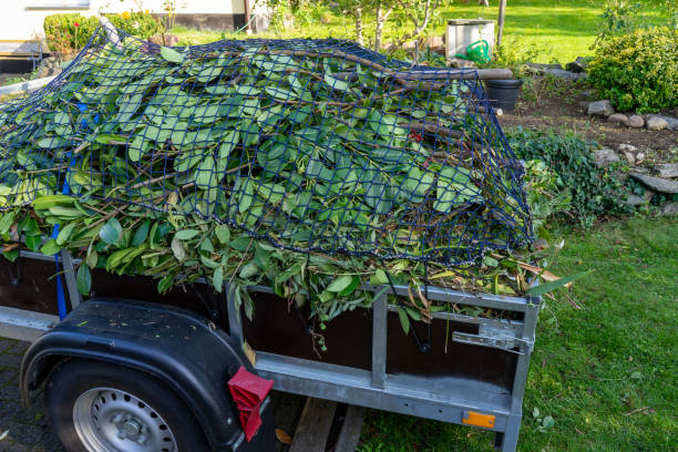 Shed Removal in Jefferson City, TN